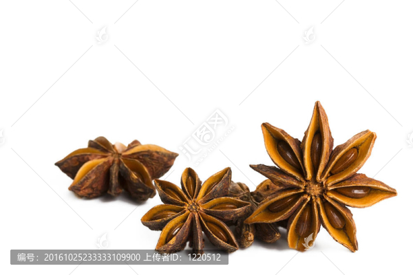 在白色背景的一些季節(jié)性的八角