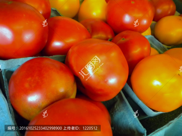 西紅柿