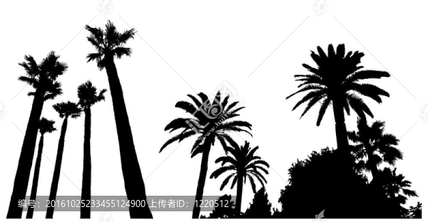 兩個(gè)場(chǎng)景與棕櫚樹(shù)的剪影