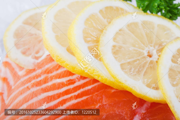 鮭魚在冰