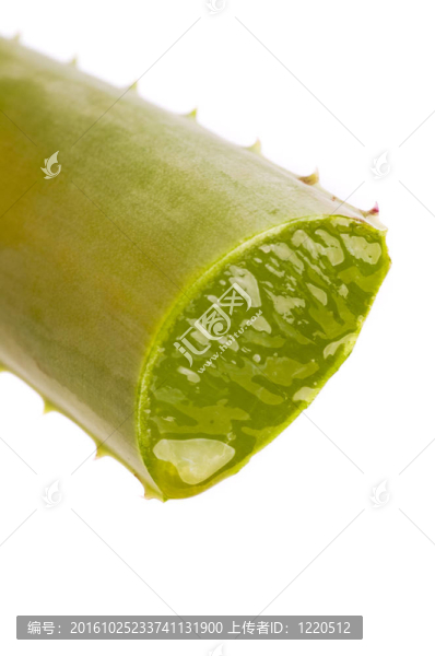 保健和身體治療
