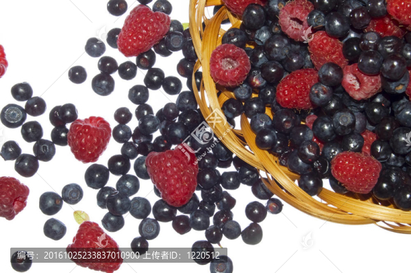 覆盆子和黑莓；夏天的水果