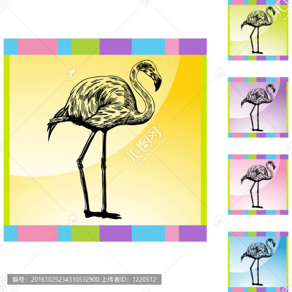 火烈鳥
