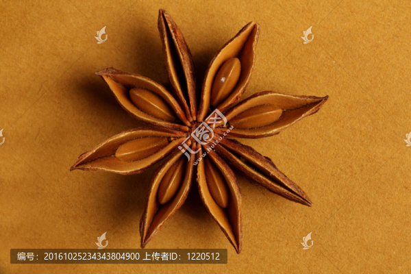 星形印度香料