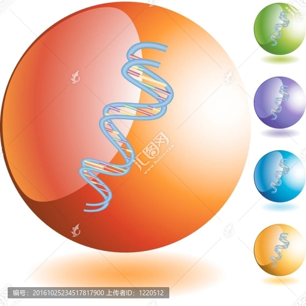 DNA鏈