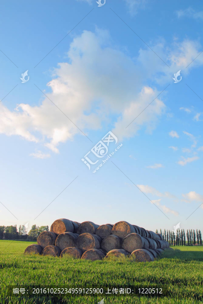 春天的風(fēng)景