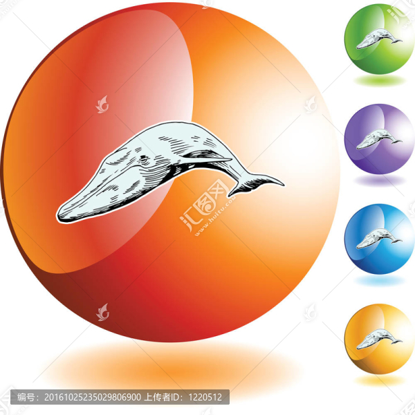鯨魚