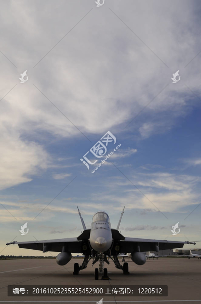 F/A-18“大黃蜂”