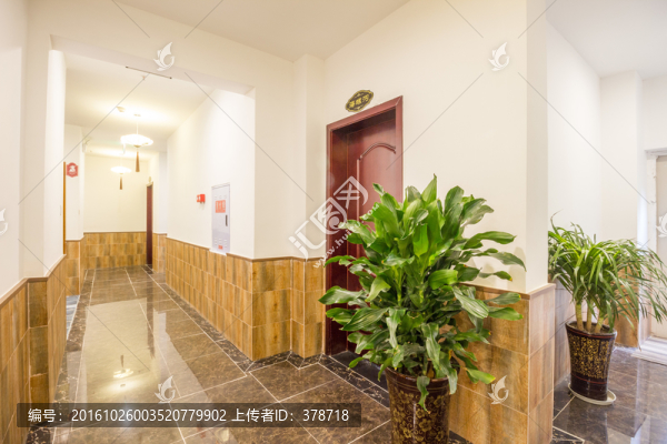 茶樓咖啡廳休閑場所