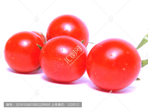 blinetsy紅番茄