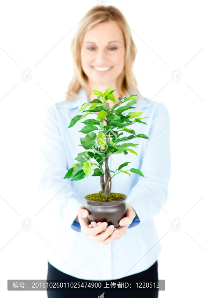 美麗的女人拿著一株植物