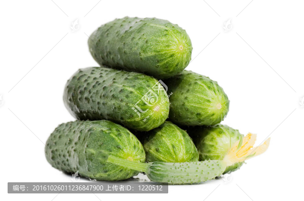 青黃瓜蔬菜花隔離