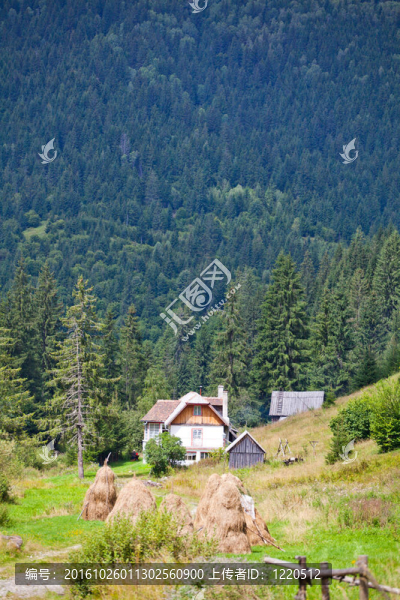 山上的小屋
