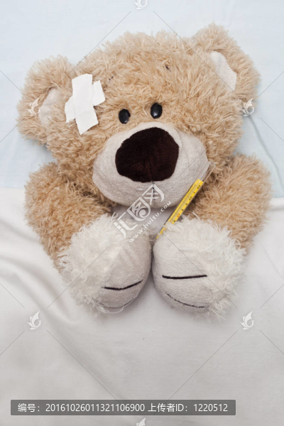 Teddy,Bear,Laying躺在床上