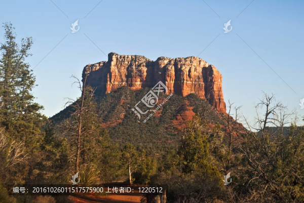 法庭山