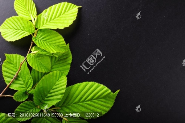 扇框