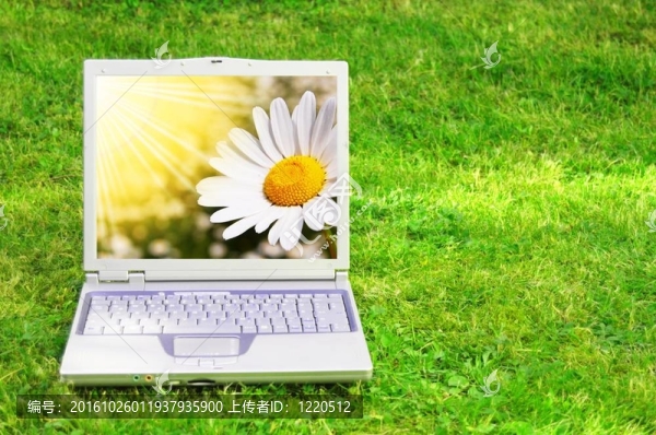 鮮花和筆記本電腦