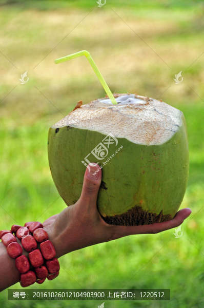 椰子喝