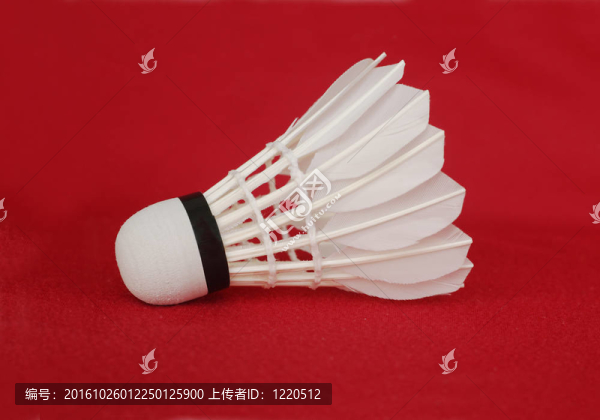 一個(gè)白色的毽子孤立的紅色