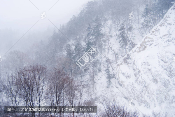 山下的雪