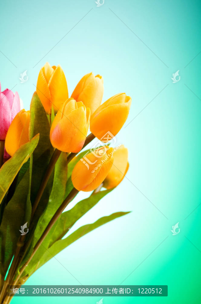 桌上五顏六色的郁金香花束