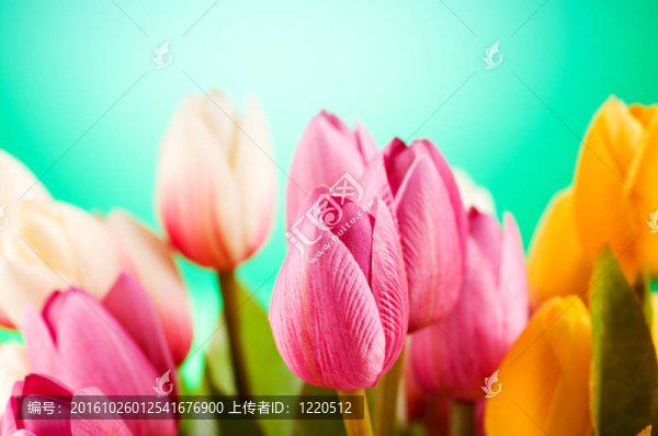 桌上五顏六色的郁金香花束