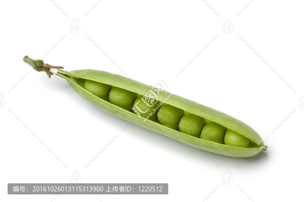 新鮮生的豌豆莢