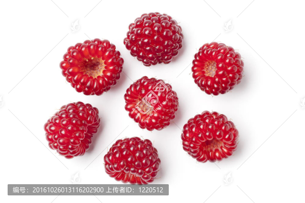 紅色的可食用的日本wineberries