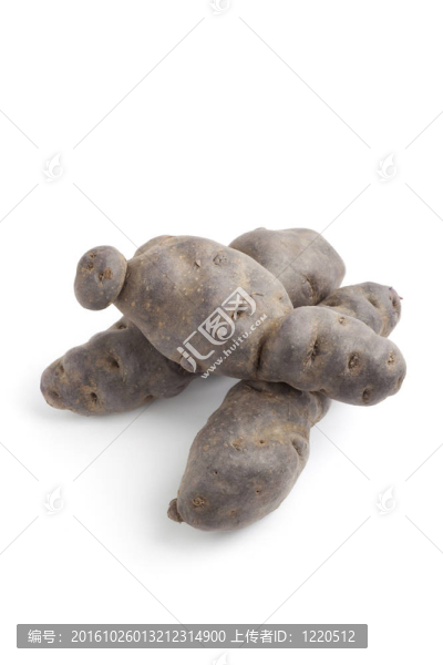 整個(gè)vitelotte比諾土豆