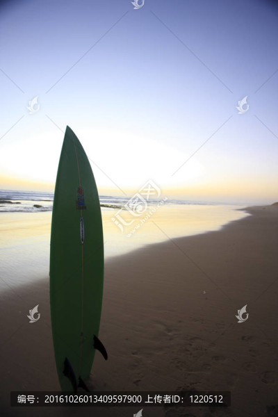 海邊的沙子中的沖浪板