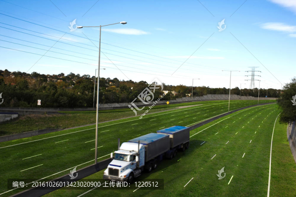 一條草覆蓋的公路對汽車說再見。
