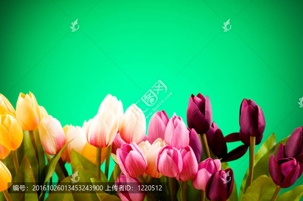 桌上五顏六色的郁金香花束