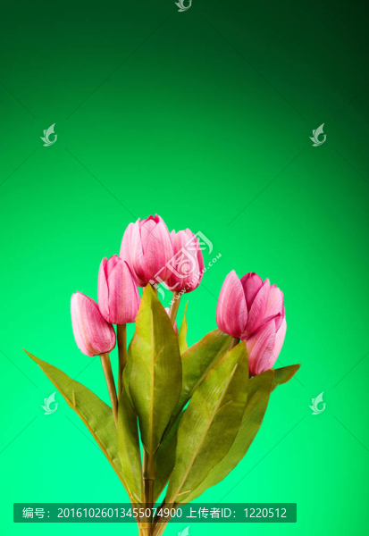 桌上五顏六色的郁金香花束