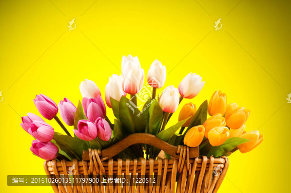 桌上五顏六色的郁金香花束