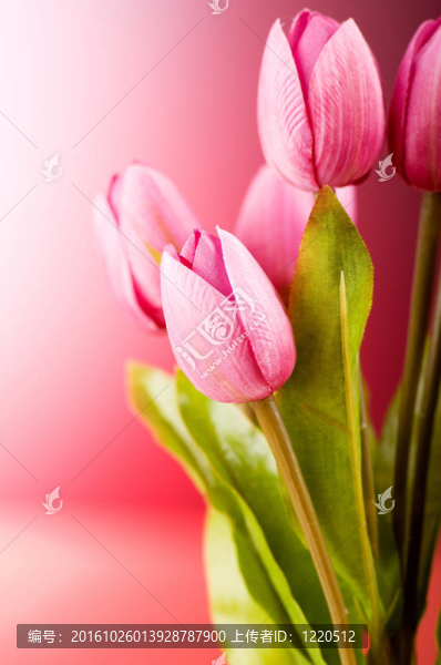 桌上五顏六色的郁金香花束