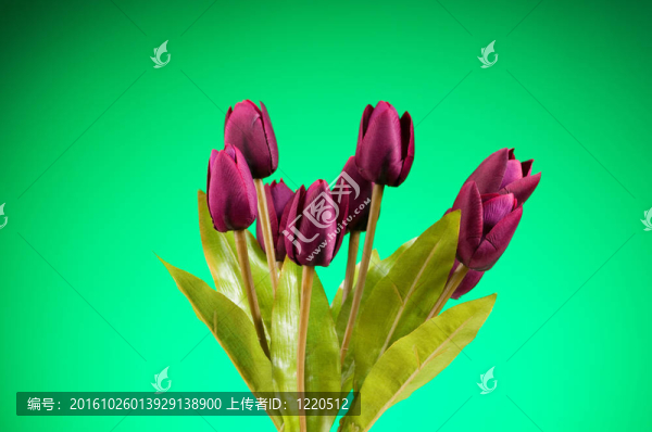 桌上五顏六色的郁金香花束