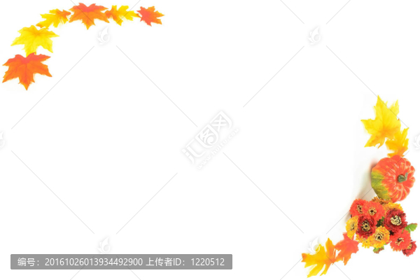 秋天和thanksgivig節(jié)賀卡項(xiàng)目。