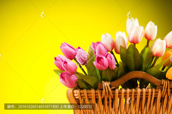 桌上五顏六色的郁金香花束