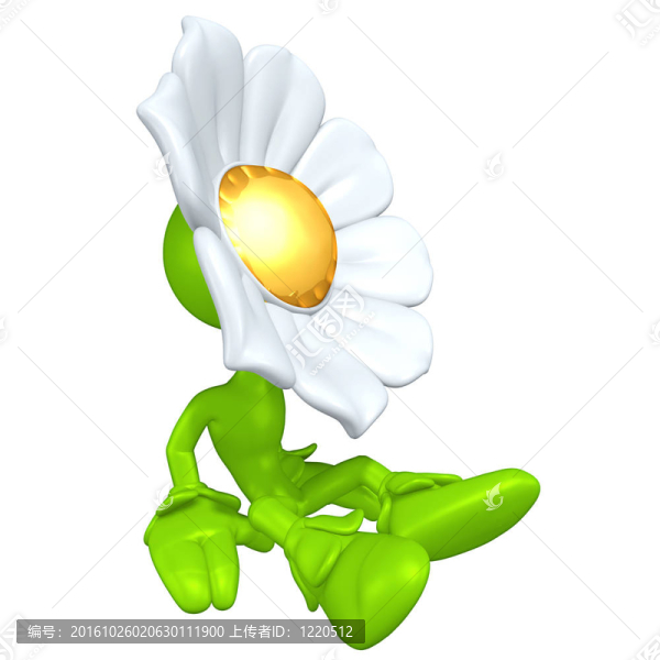 迷你金男花