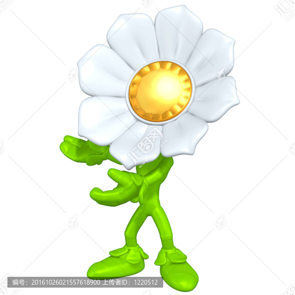 迷你金男花