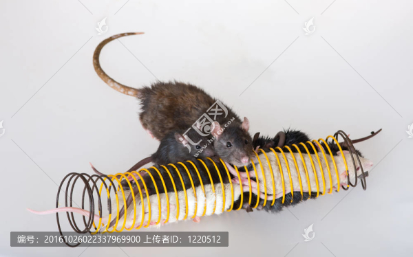 媽媽和孩子