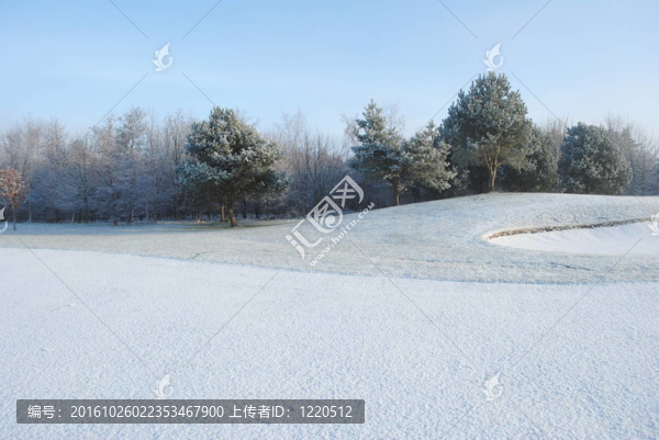 雪景觀