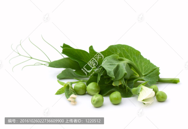 綠色的豌豆