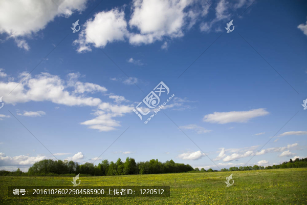春天的風(fēng)景