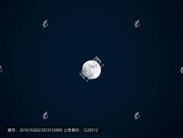 盧娜