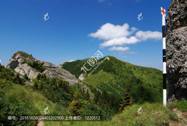 在喀爾巴阡山區(qū)景觀；羅馬尼亞