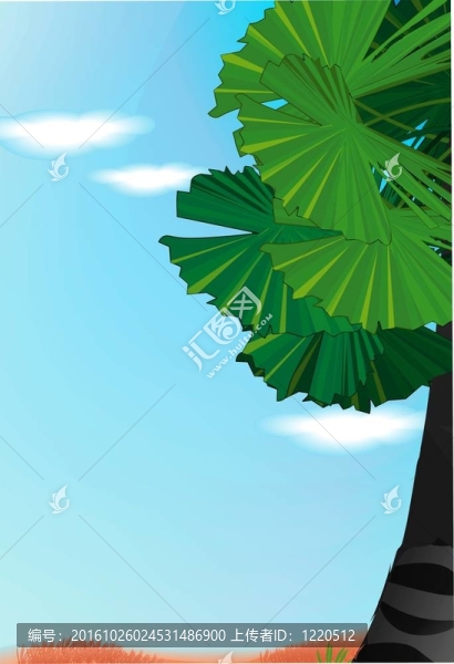 植物