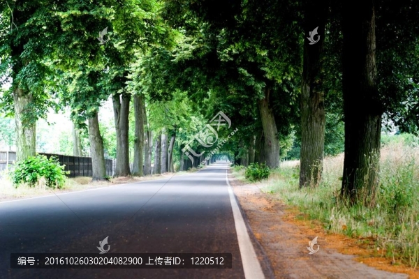 路