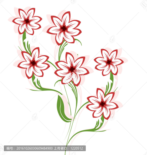 美麗的花朵