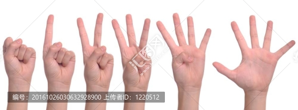 女人的手數(shù)